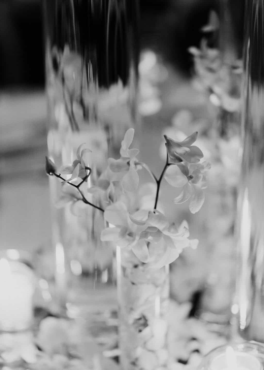 COSTA RICA WEDDING PHOTOGRAPHER