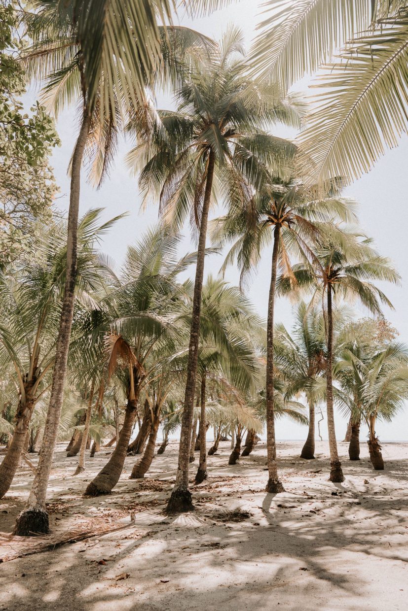 COSTA RICA WEDDING PHOTOGRAPHER