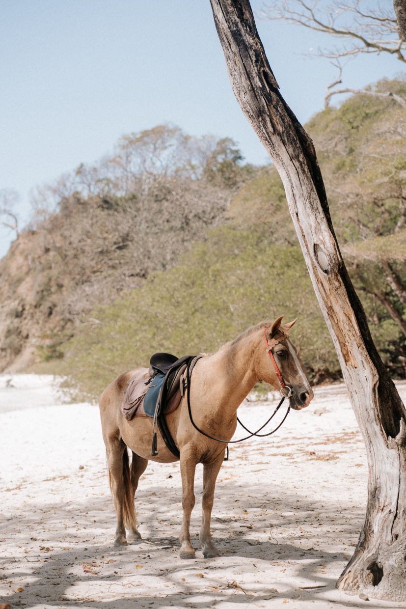 COSTA RICA WEDDING PHOTOGRAPHER