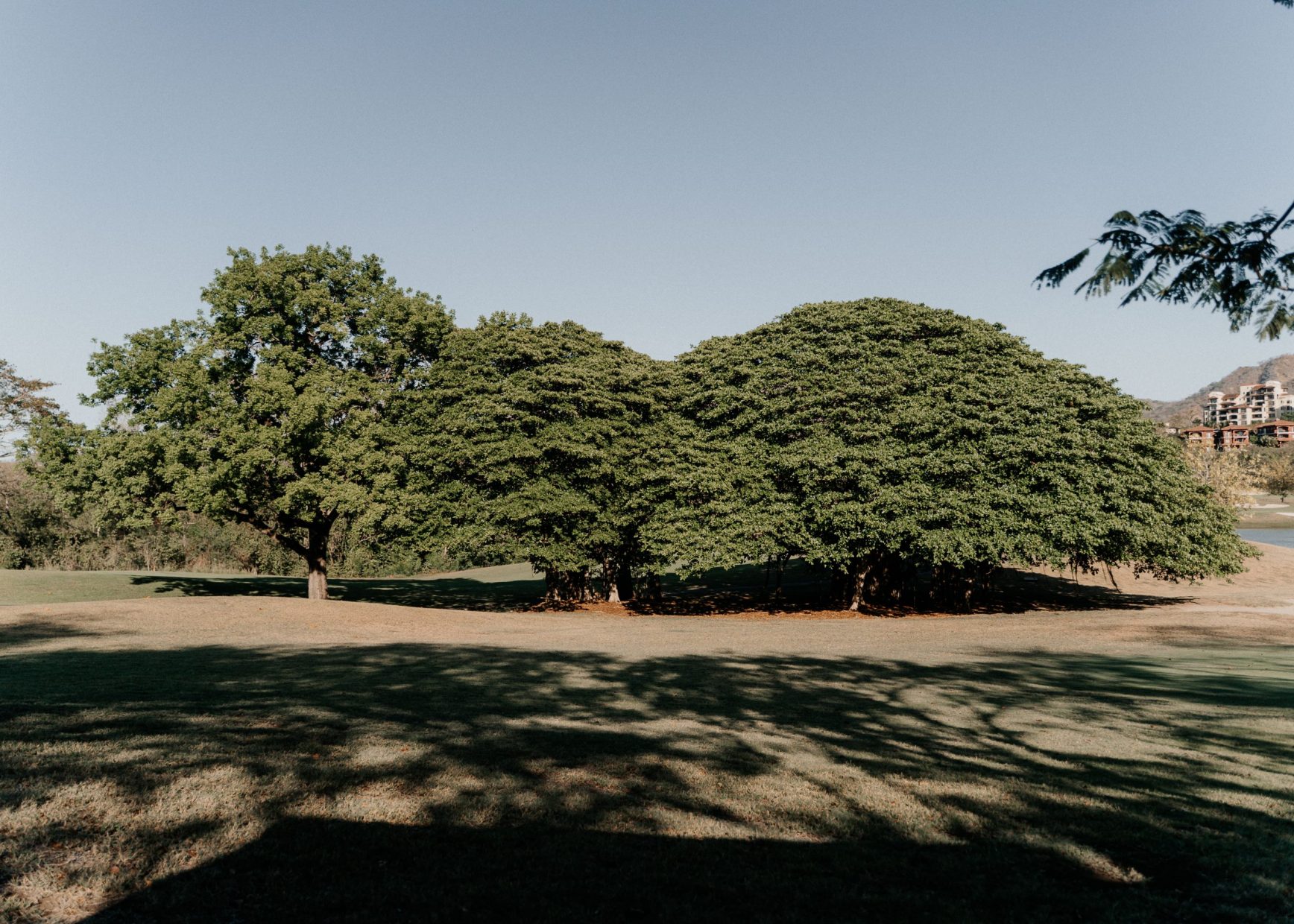COSTA RICA WEDDING PHOTOGRAPHER