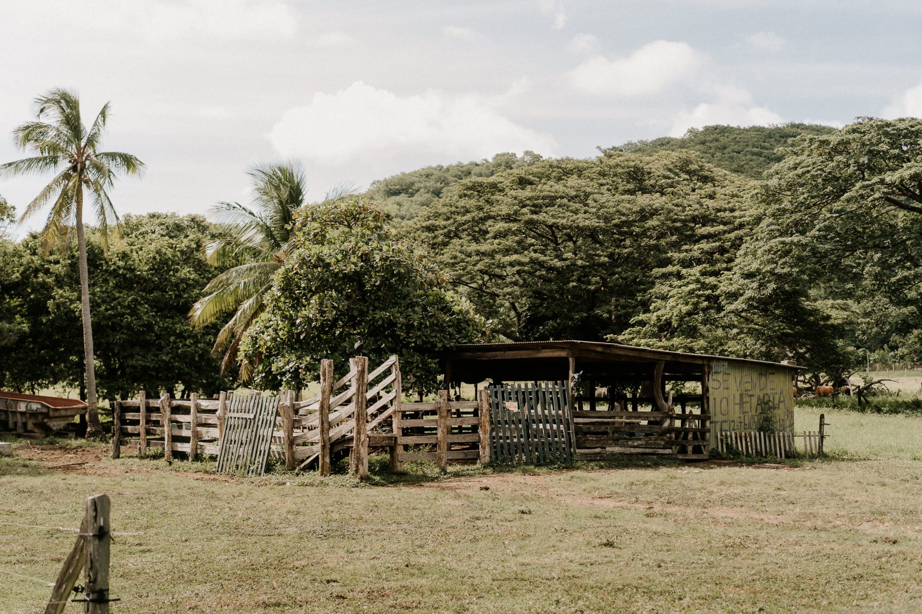 COSTA RICA WEDDING PHOTOGRAPHER