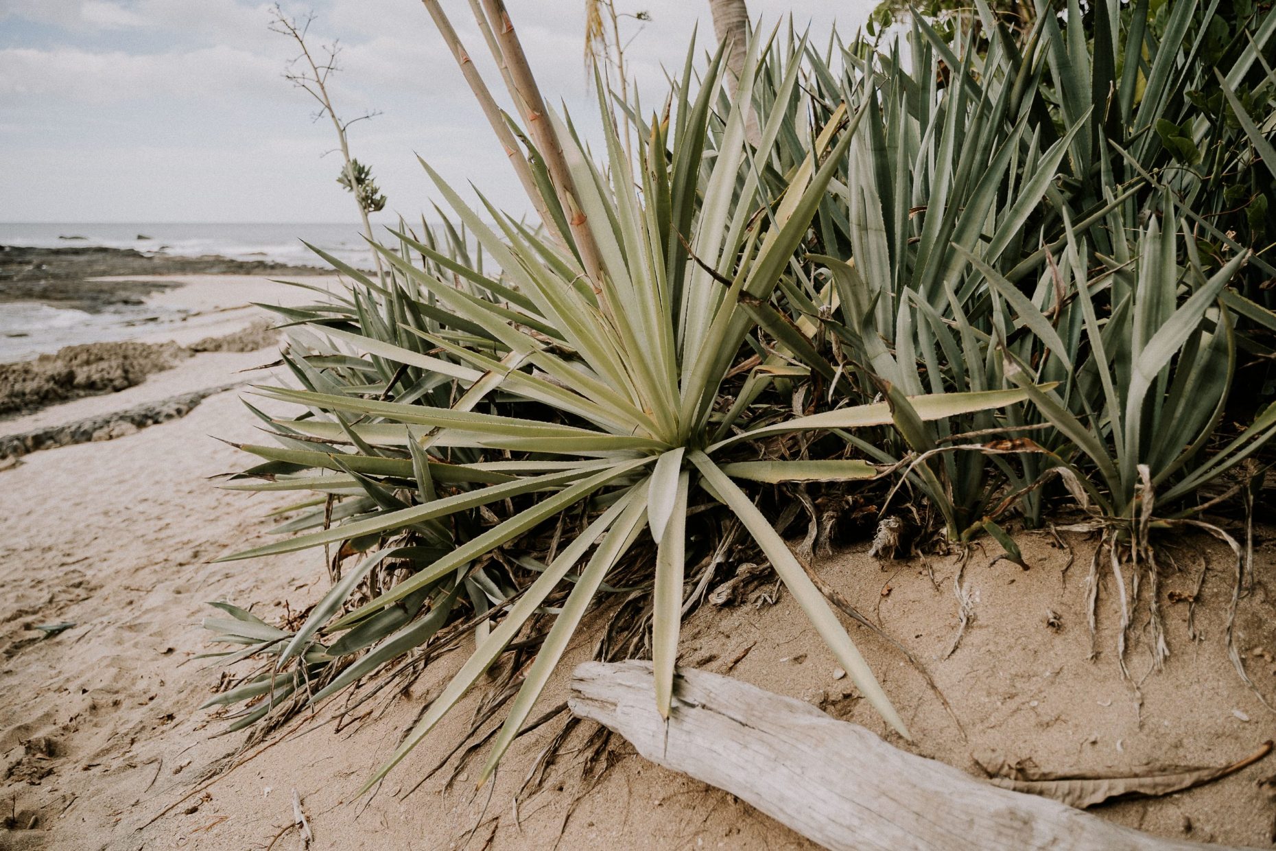 COSTA RICA WEDDING PHOTOGRAPHER