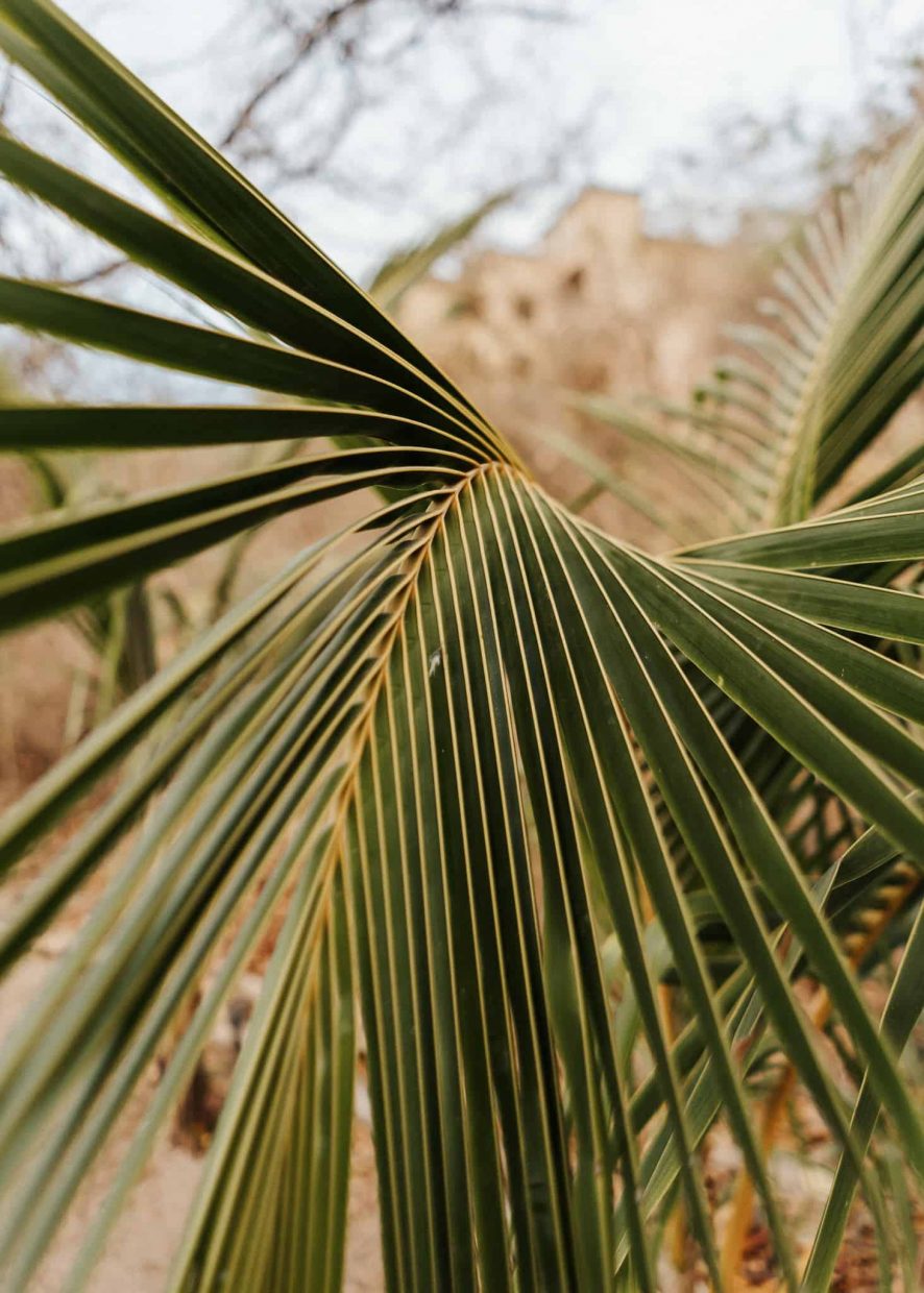 COSTA RICA WEDDING PHOTOGRAPHER