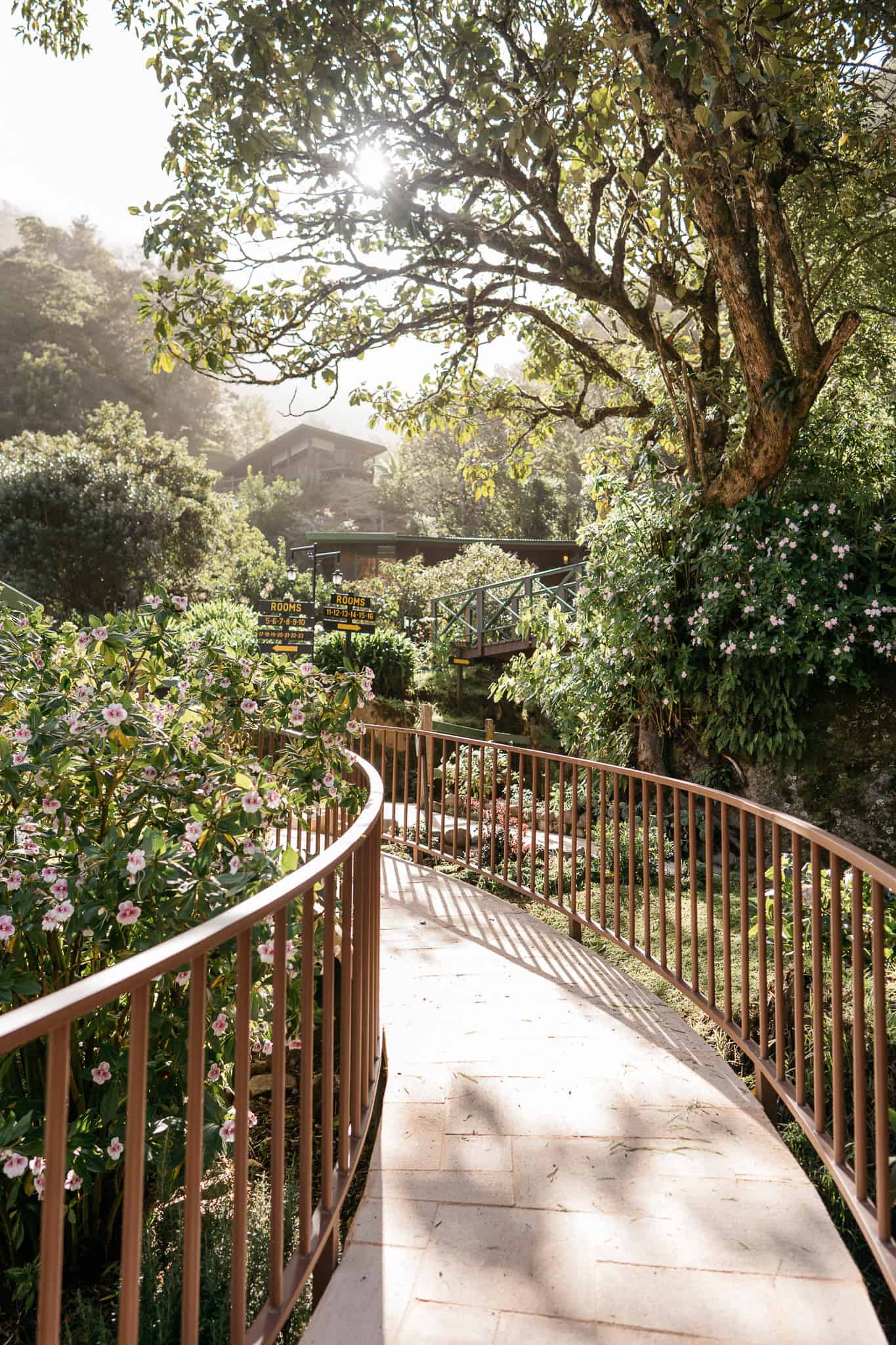 COSTA RICA WEDDING PHOTOGRAPHER